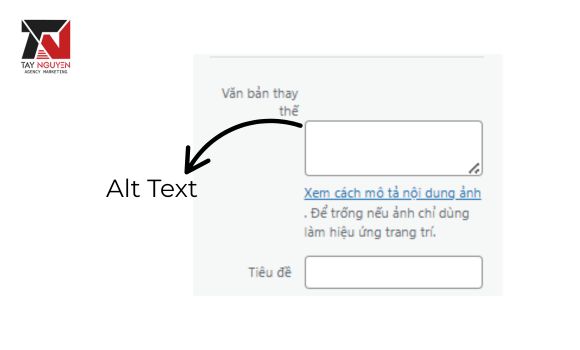 alt-text-(-van-ban-thay-the-hinh-anh-)