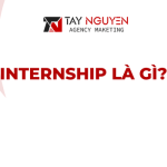 INTERNSHIP LÀ GÌ