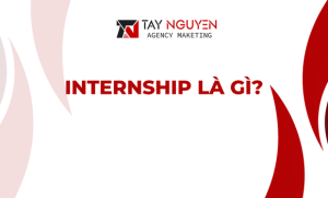 INTERNSHIP LÀ GÌ