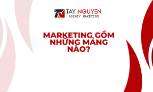 Marketing gồm những mảng nào