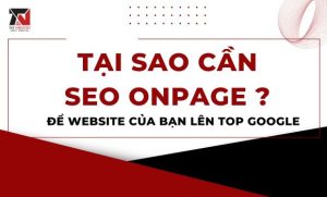 tai-sao-can-seo-onpage-de-website-cua-ban-len-top-google