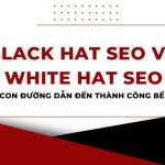 black-hat-seo-và-white-hat-seo-dau-la-con-duong-dan-den-thanh-cong-ben-vung